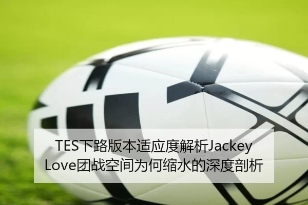 TES下路版本适应度解析JackeyLove团战空间为何缩水的深度剖析